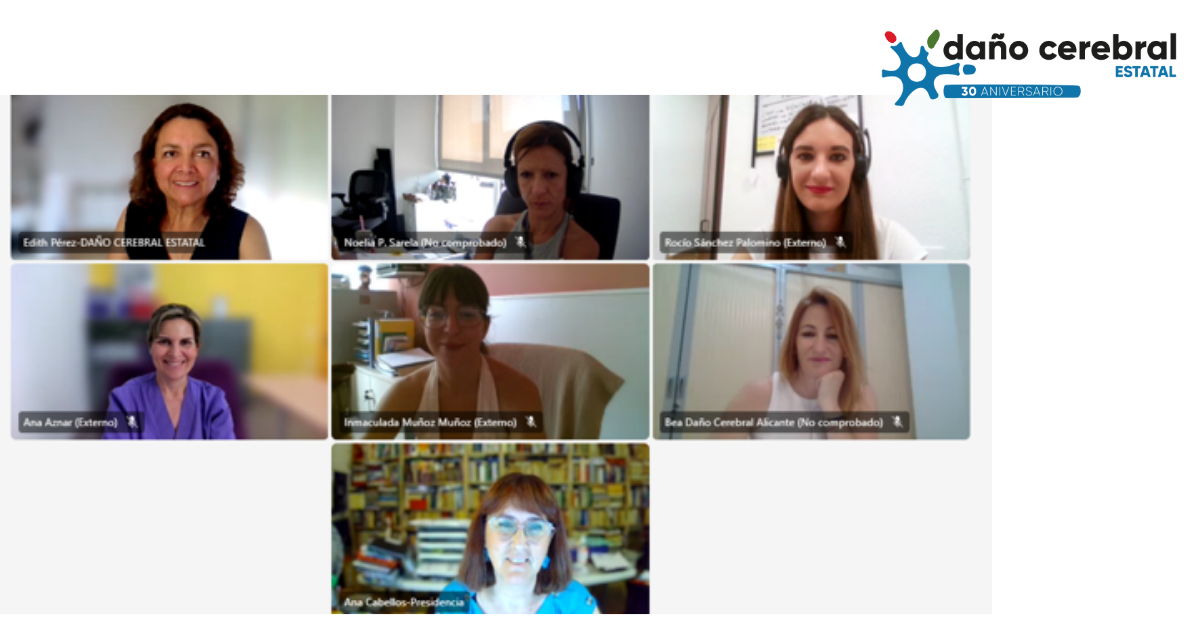 Captura de pantalla de una videollamada