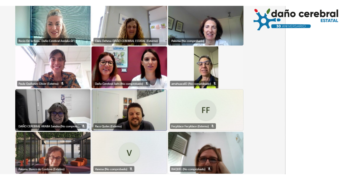 Captura de pantalla de una videollamada.