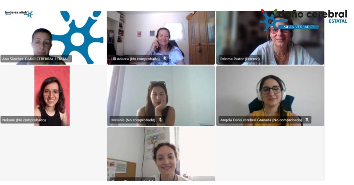 Captura de pantalla de una videollamada